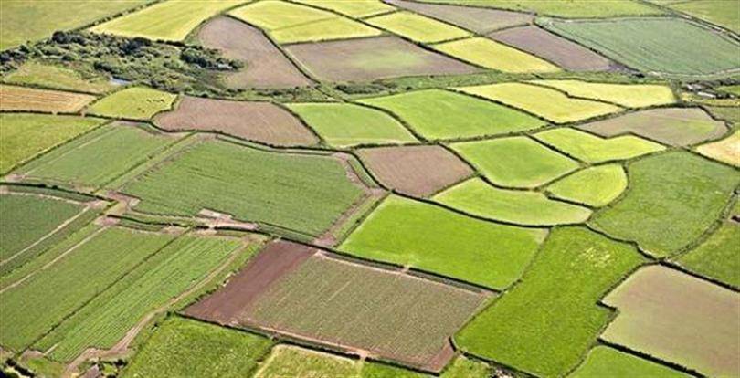 Milyonlarca çiftçiyi ilgilendiren karar: Tüm tarım arazileri tek tek kontrol edilecek 7